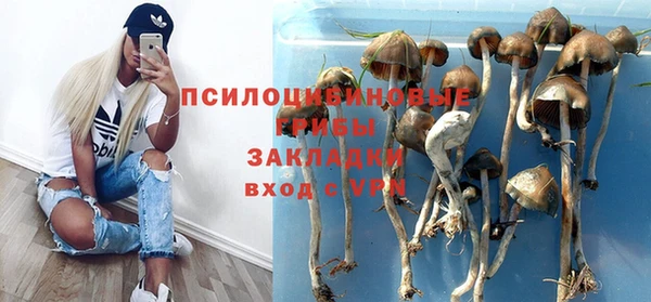 мескалин Аркадак