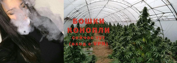 гидра Армянск