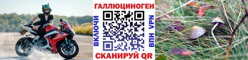 Псилоцибиновые грибы MAGIC MUSHROOMS  KRAKEN рабочий сайт  Лермонтов 